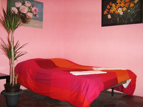 Hostal Volturno House